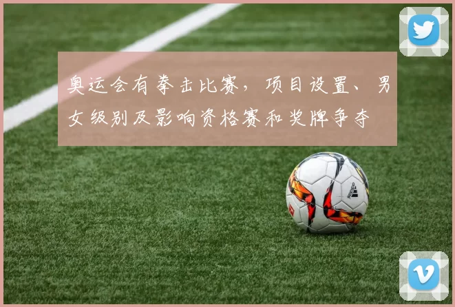 奥运会有拳击比赛，项目设置、男女级别及影响资格赛和奖牌争夺