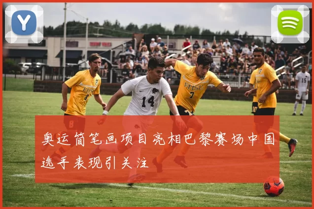 奥运简笔画项目亮相巴黎赛场中国选手表现引关注