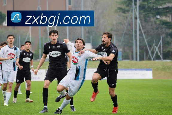 爱体育官方网站 - 爱体育aitiyu(中国)发展历程