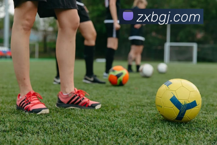 辽宁男篮新签球员位置轮换影响、战术融入与赛季出场节奏展望